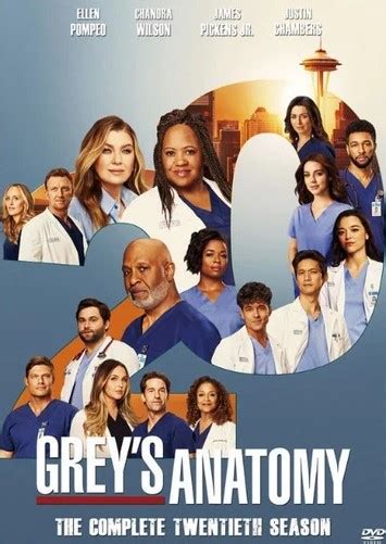 grey's anatomy พากย์ไทย|Grey’s Anatomy (season 10) แพทย์มือใหม่หัวใจเกินร้อย ปี 10 .